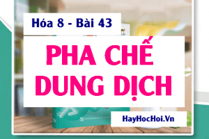 Cách Pha chế dung dịch theo nồng đồ cho trước và Cách tính để pha loãng dung dịch - Hóa 8 bài 43